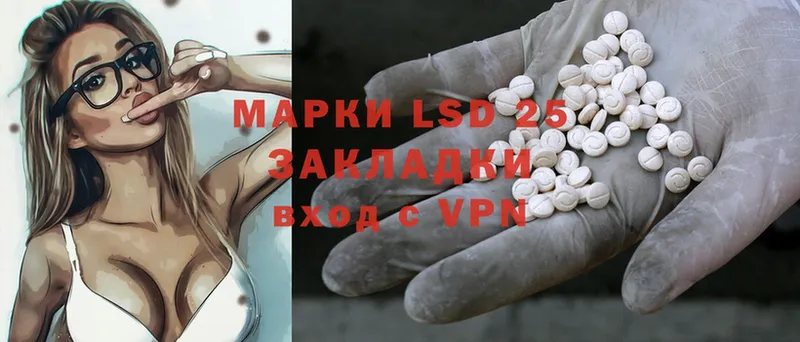 дарнет шоп  Заполярный  Лсд 25 экстази ecstasy 